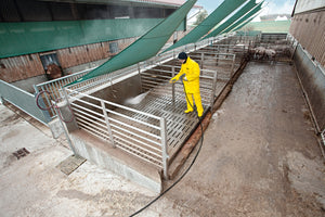 Kärcher Hochdruckreiniger HD 25/15-4 Cage Plus